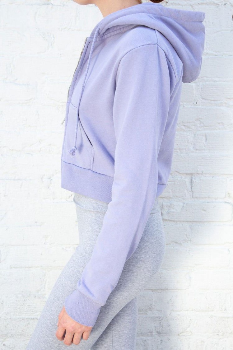 Sweat a Capuche Brandy Melville Crystal Violette | RBS-31949828